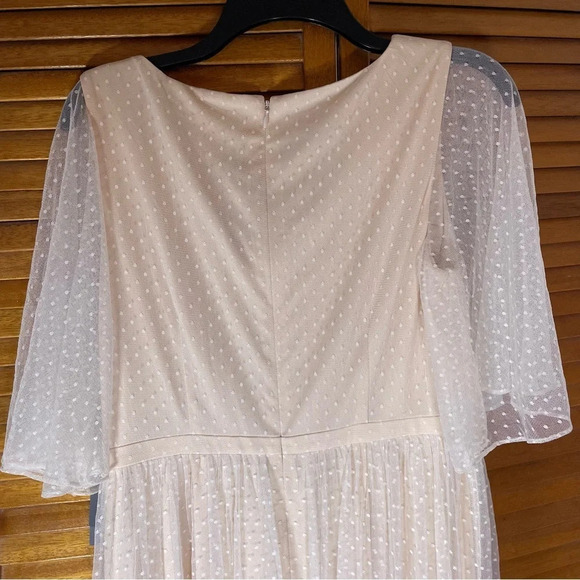 Adrianna Papell By Anthropologie Rivoli Tulle Blush Rose Gown Sz 10 NWT - Picture 7 of 10